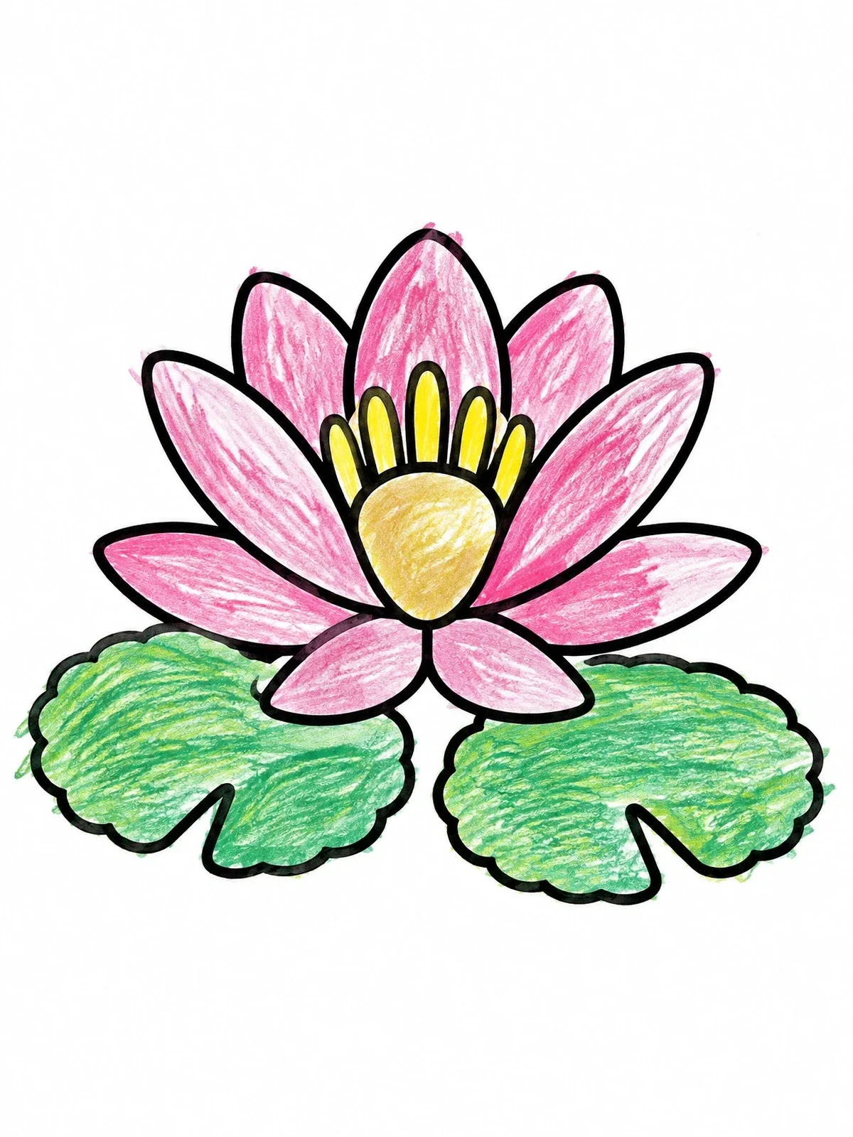 Colored example of the Blooming Water Lily With Pads coloring page