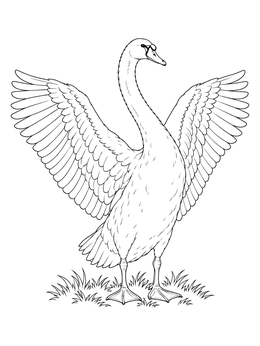 A detailed swan coloring page showing a graceful swan with fully spread wings standing on grass.