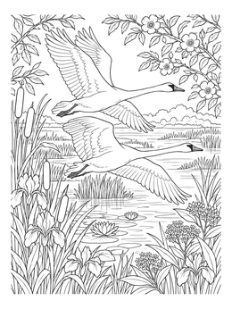 A detailed swan coloring page featuring two graceful birds in flight over a wetland marsh.