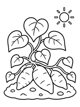 Free printable Sweet Potato Plant In Garden coloring page