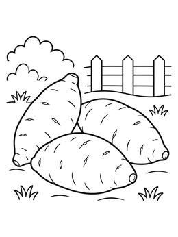Free printable Three Fresh Sweet Potatoes In The Garden coloring page