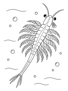 Free printable Swimming Brine Shrimp Sea Monkey coloring page