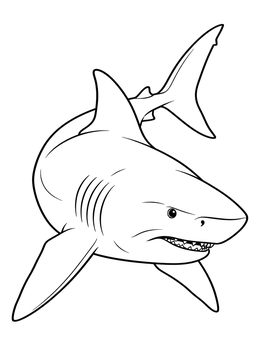 A dynamic bull shark coloring page showing the predator curving through the water.
