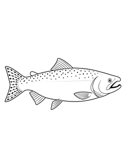 Detailed salmon coloring page featuring a spotted Chinook salmon in side profile view.