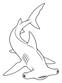 Detailed hammerhead shark coloring page showing dynamic curved swimming posture.