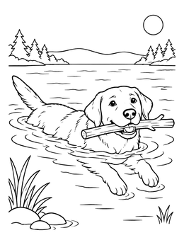 Free printable Swimming Labrador Retriever With Stick coloring page