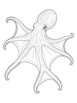 Detailed octopus coloring page showing an octopus swimming with outstretched webbed tentacles.