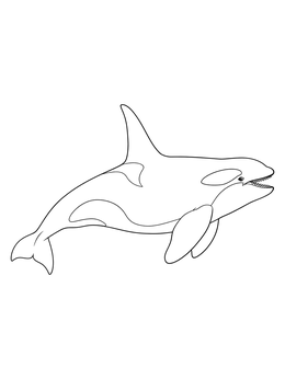 A detailed orca whale coloring page showing the full body swimming in profile.