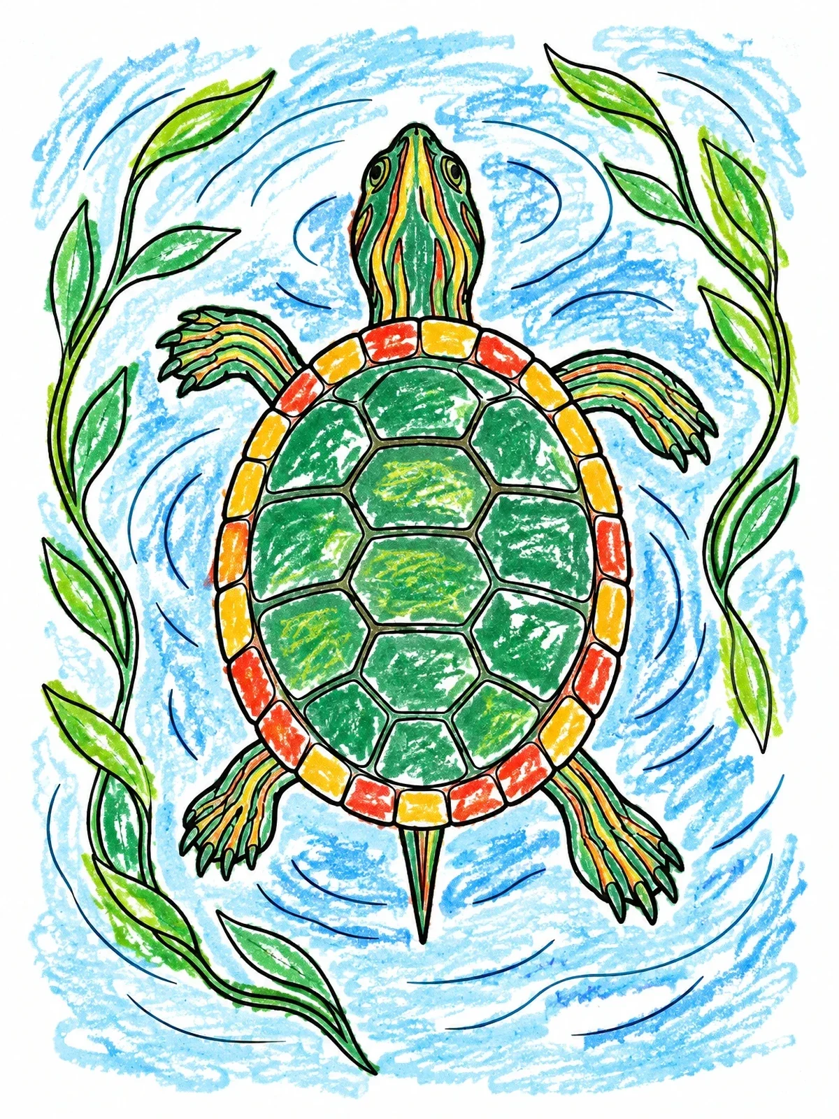 Colored example of the Swimming Painted Turtle Top View coloring page