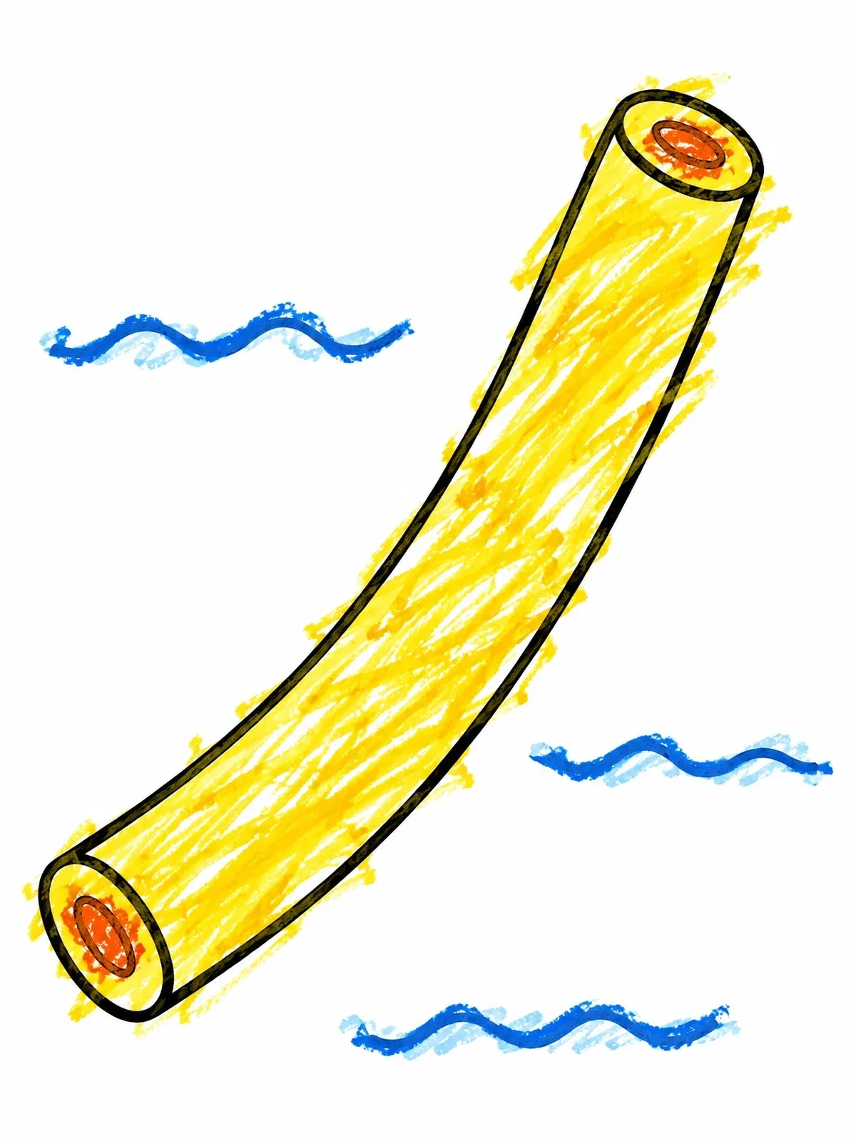 Colored example of the Curved Foam Pool Noodle coloring page