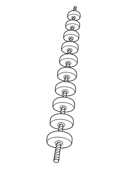 A floating pool divider line in this clean swimming pool coloring page.
