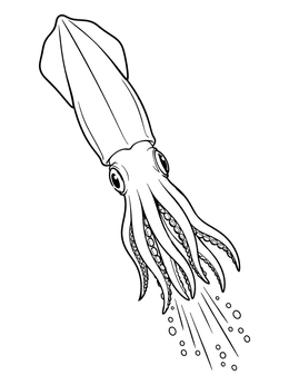 A dynamic squid coloring page showing the sea creature swimming downward with bubbles trailing behind.