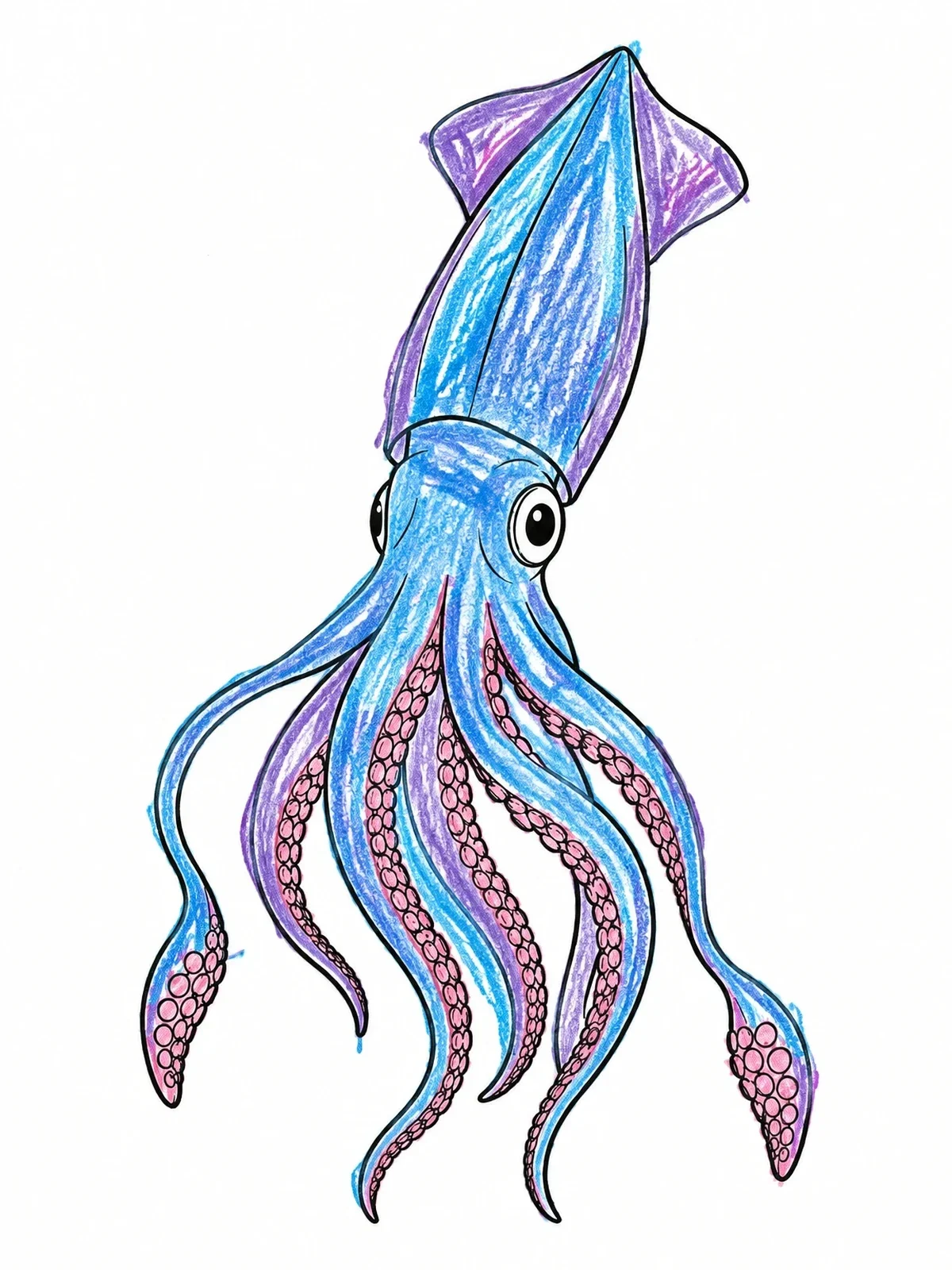 Colored example of the Swimming Squid With Long Tentacles coloring page