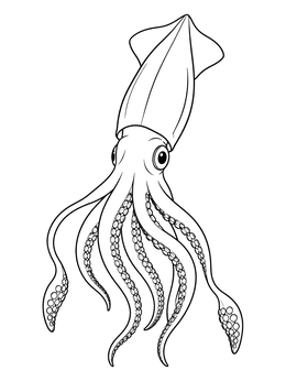 A detailed squid coloring page showing tentacles with suction cups swimming downward.