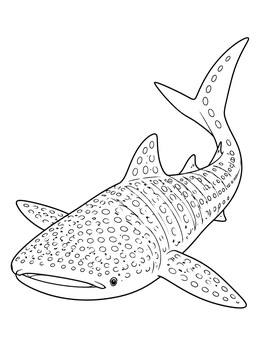 Free printable Swimming Whale Shark Line Art coloring page