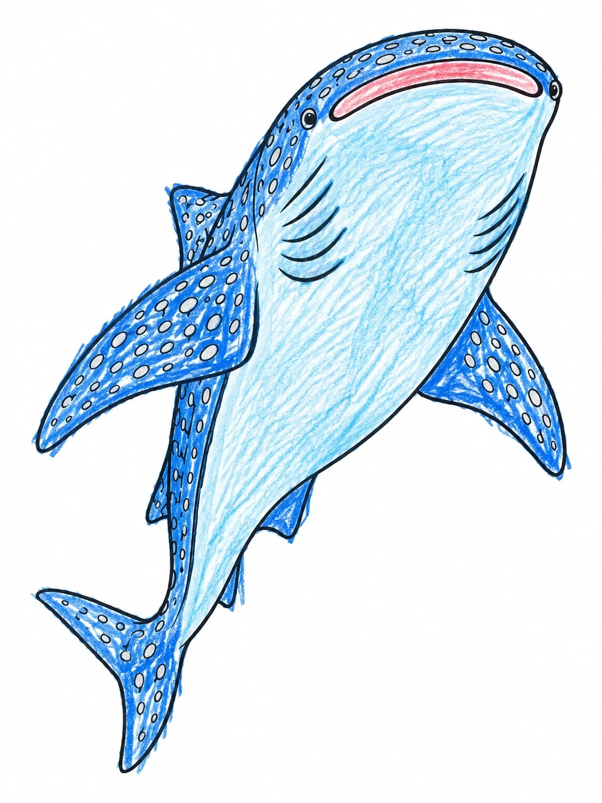 Colored example of the Swimming Whale Shark Line Art coloring page