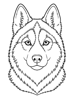 Detailed husky coloring page featuring a front-view portrait with pointed ears and fur patterns.
