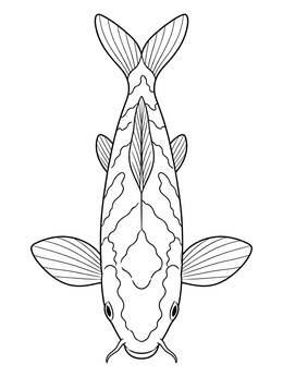A top-down view of a koi fish coloring page with patterned scales and outstretched fins.
