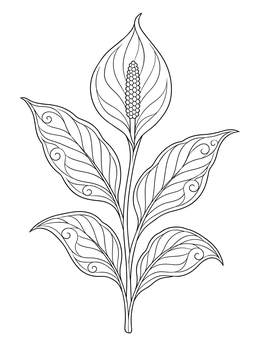 An elegant peace lily blooms on this sympathy coloring page with patterned leaves.