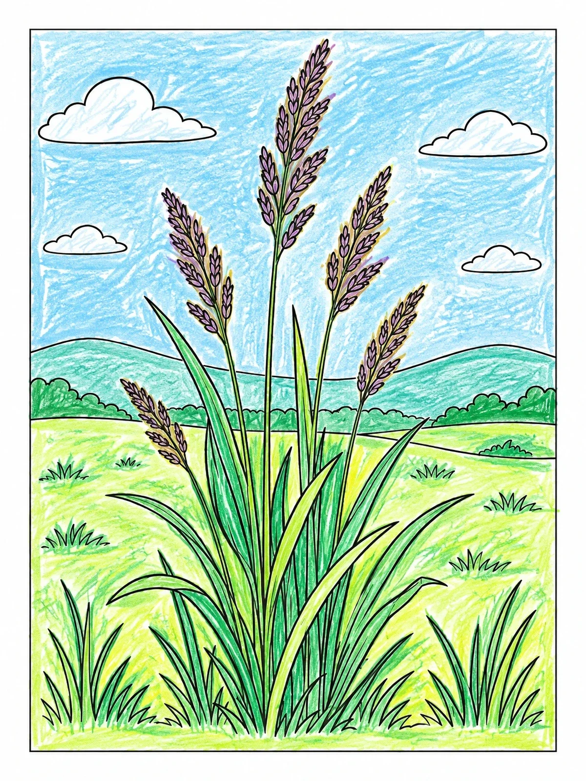 Colored example of the Tall Meadow Grass And Seed Stalks coloring page