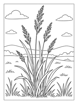Free printable Tall Meadow Grass And Seed Stalks coloring page
