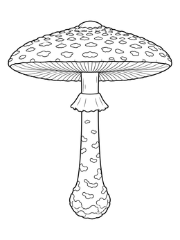 A detailed mushroom coloring page showcasing a wide cap with gills and a textured slender stem.