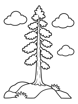 Free printable Tall Pine Tree On A Hill coloring page