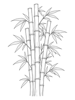 A serene bamboo coloring page featuring segmented stalks and pointed leaves.