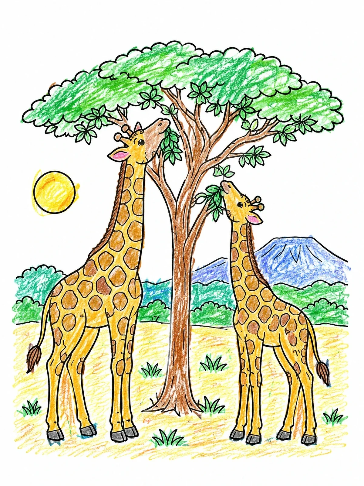 Colored example of the Giraffes Nibbling Acacia Leaves coloring page
