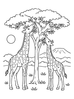 Free printable Giraffes Nibbling Acacia Leaves coloring page