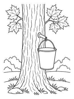 Free printable Tapped Maple Tree With Bucket coloring page