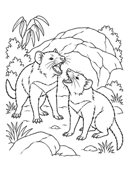 A detailed tasmanian devil coloring page depicting two animals snarling near their rocky den.
