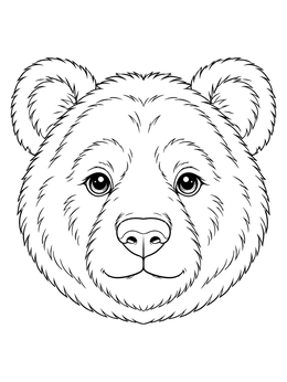 A detailed teddy bear coloring page featuring a front-view portrait of a fluffy bear head.
