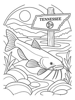 A channel catfish swims near river stones beside a sign in this tennessee coloring page.