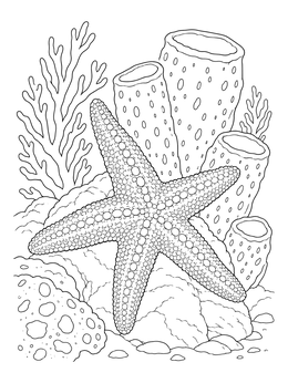 Granulated starfish resting by deep sea sponges on this starfish coloring page.