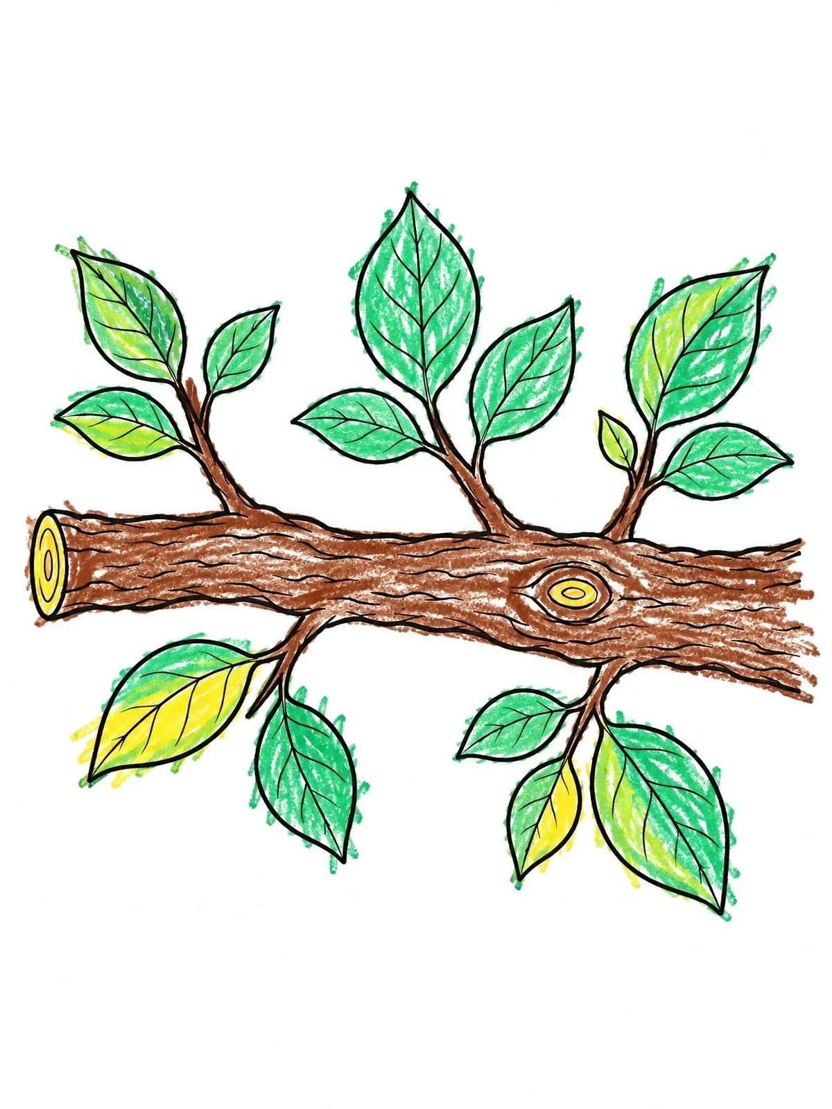 Colored example of the Textured Tree Branch With Leaves coloring page