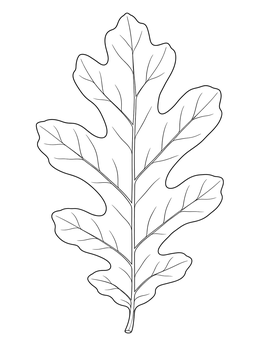 A detailed thanksgiving symbols coloring page featuring a single autumn oak leaf.