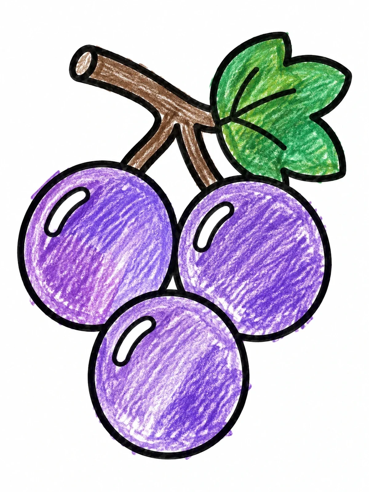 Colored example of the Three Simple Grapes On Vine coloring page
