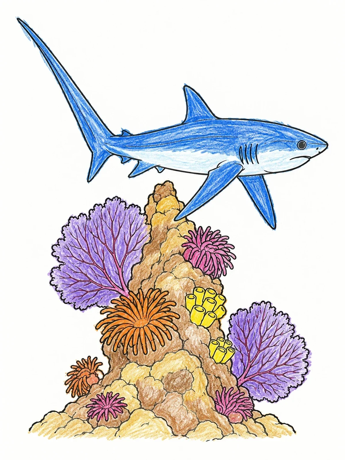 Colored example of the Thresher Shark Swimming Over Coral Pinnacle coloring page