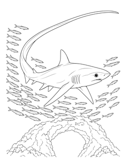 A detailed thresher shark coloring page showing the shark swimming above an underwater arch.