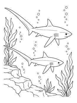 Free printable Two Thresher Sharks Swimming Underwater coloring page