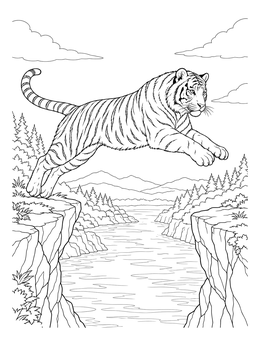 A powerful tiger leaping over a river canyon in this tiger coloring page.