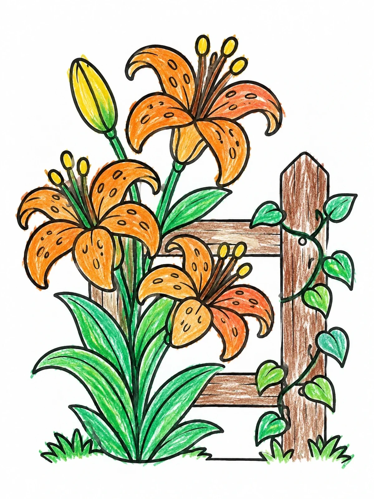 Colored example of the Tiger Lilies By Garden Fence coloring page