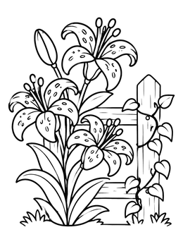 Free printable Tiger Lilies By Garden Fence coloring page