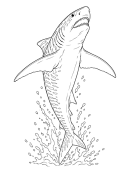 A dynamic tiger shark coloring page showing the predator breaching out of the water.