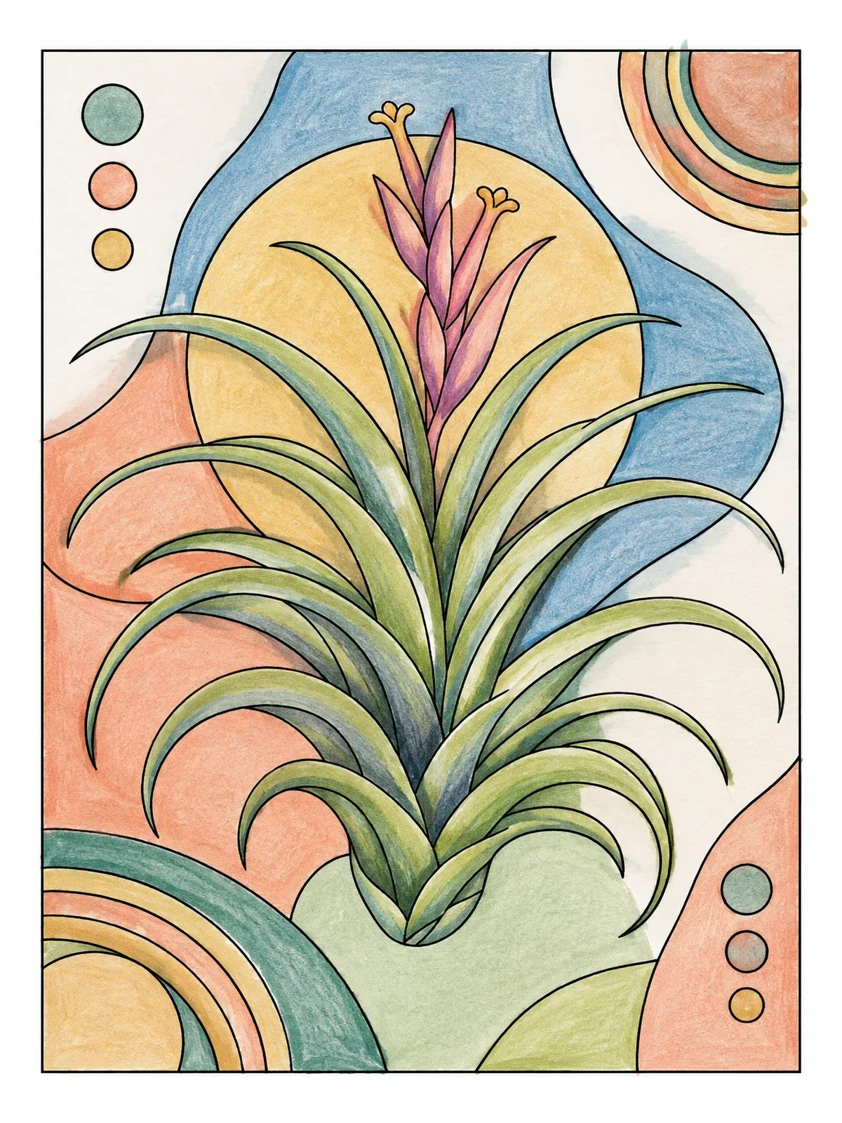 Colored example of the Tillandsia Air Plant In Bloom coloring page