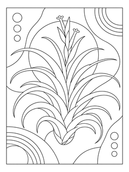 An air plant coloring page featuring a blooming tillandsia with abstract shapes in the background.