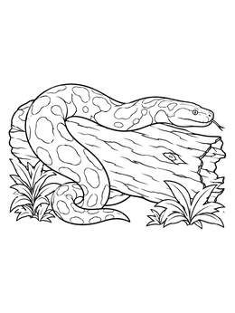 Free printable Titanoboa Resting On A Fallen Log coloring page