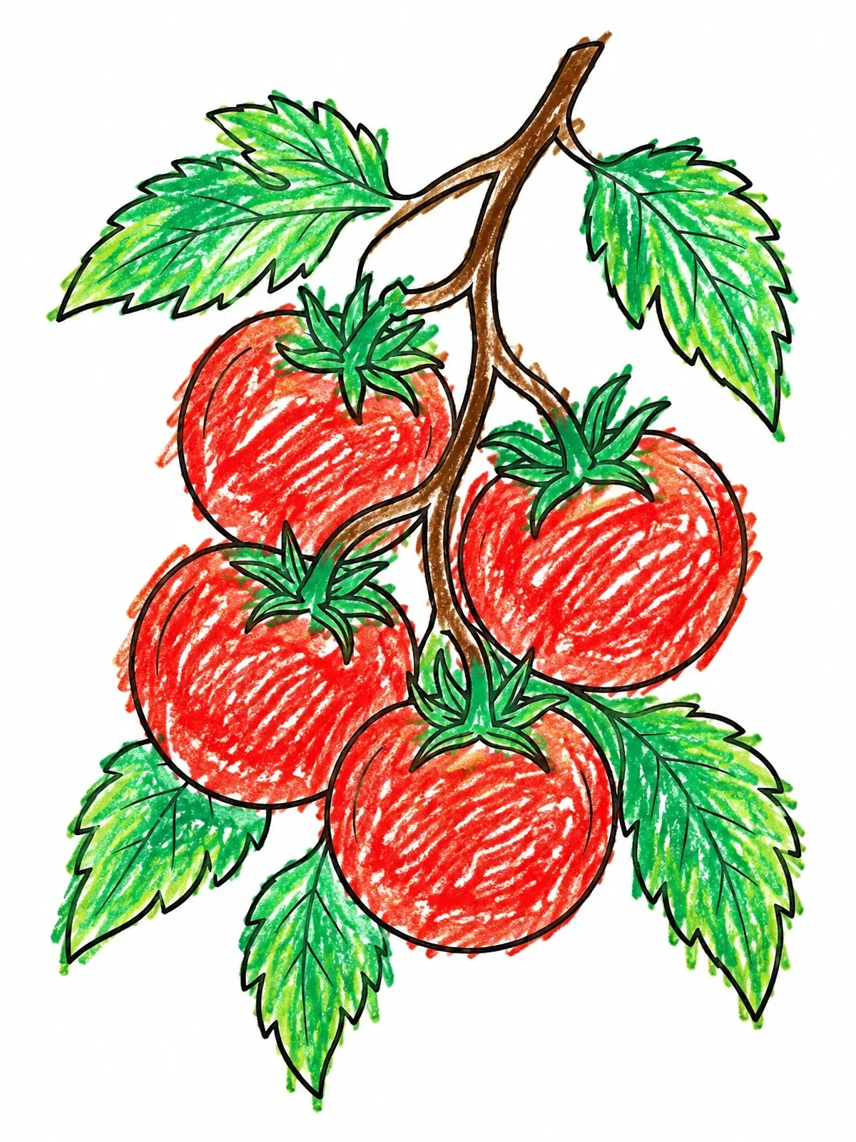 Colored example of the Tomatoes On The Vine coloring page