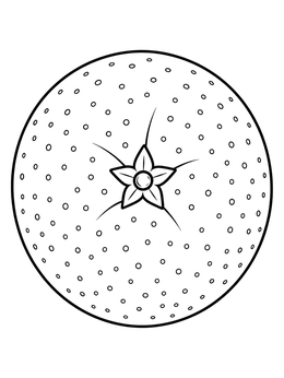 A textured orange coloring page featuring a top-down view with a star-shaped calyx.